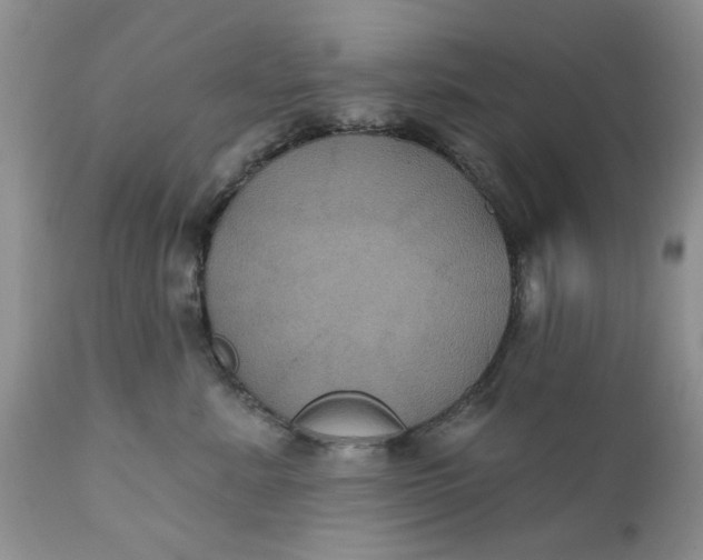 X0000112030619200908241540