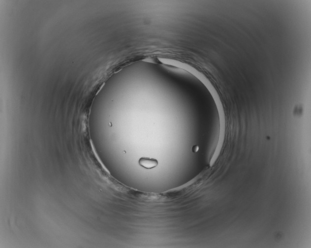 X0000112030621200908241540