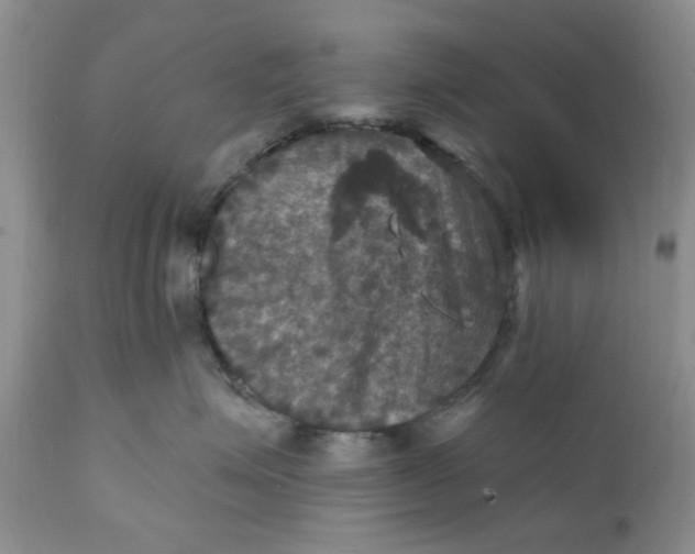 X0000112030623200908241540