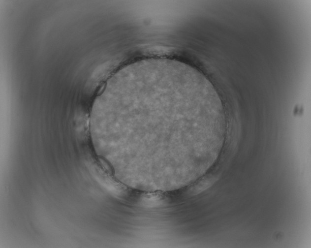 X0000112030624200908241540