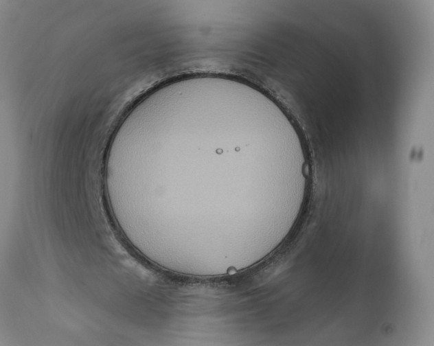 X0000112030625200908241539