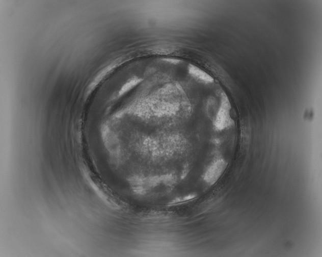 X0000112030626200908241539