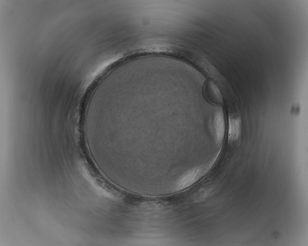 X0000112030627200908241539