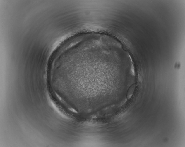 X0000112030630200908241539
