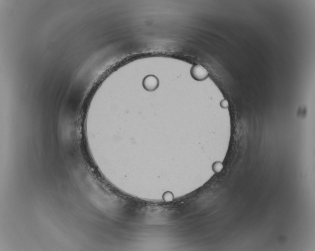 X0000112030632200908241539