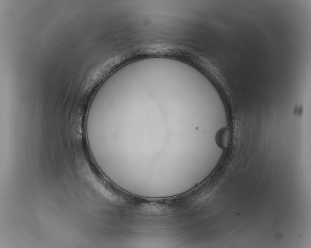 X0000112030633200908241539