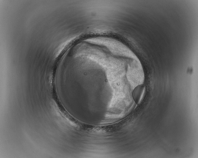 X0000112030640200908241539