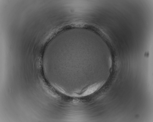 X0000112030641200908241539