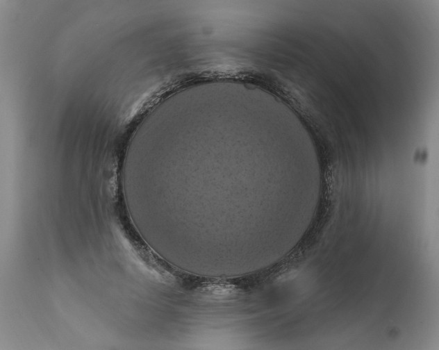 X0000112030642200908241539