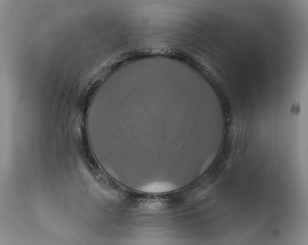 X0000112030643200908241539