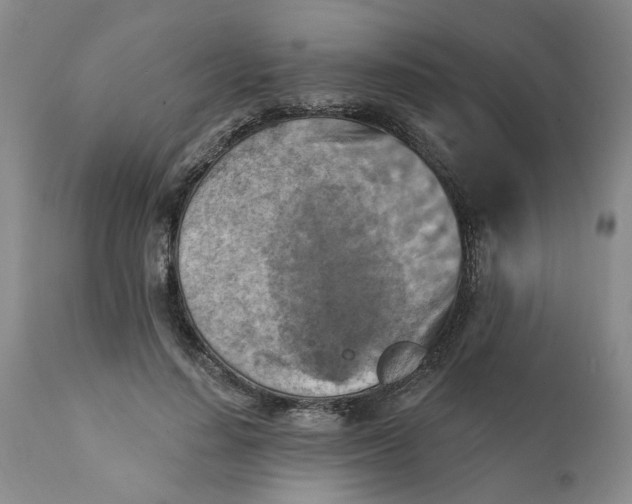 X0000112030644200908241539