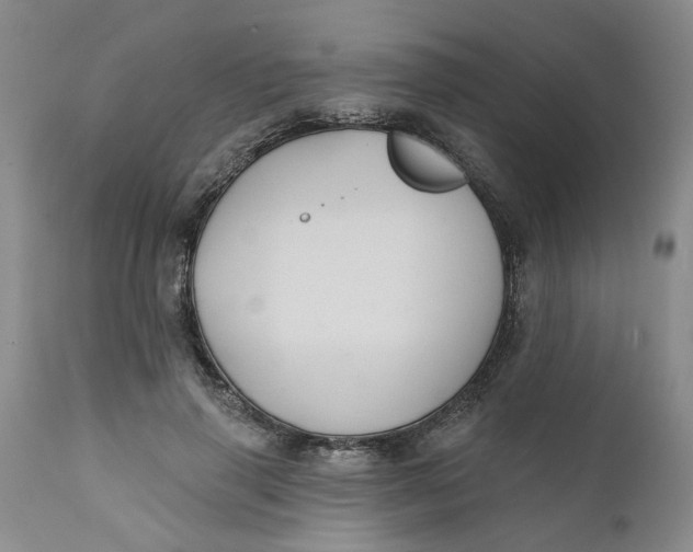 X0000112030645200908241539