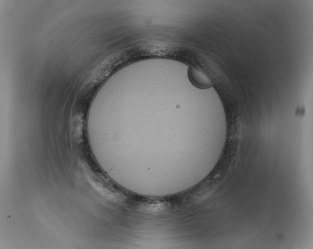 X0000112030646200908241539
