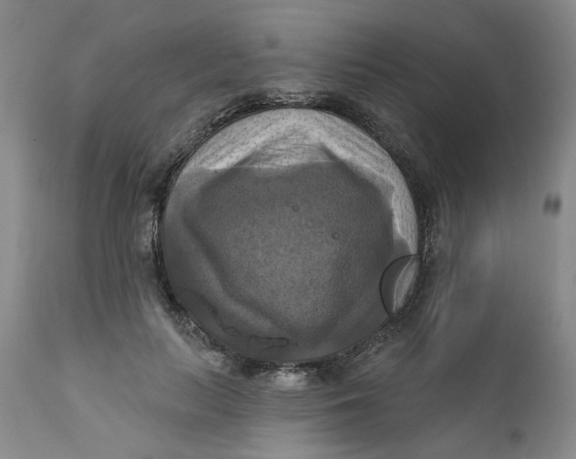 X0000112030647200908241540