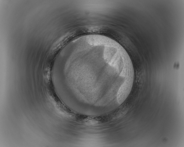 X0000112030648200908241540