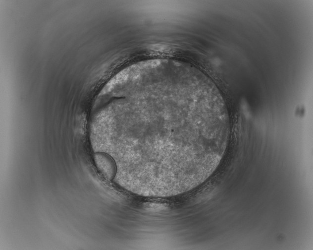 X0000112030649200908241540