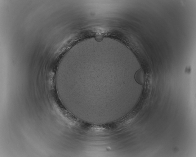 X0000112030650200908241540