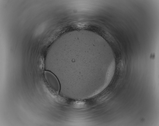X0000112030651200908241540