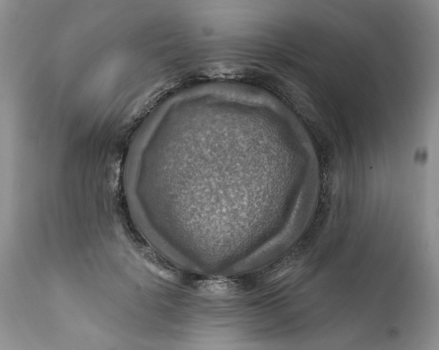 X0000112030652200908241540