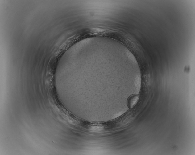X0000112030653200908241540