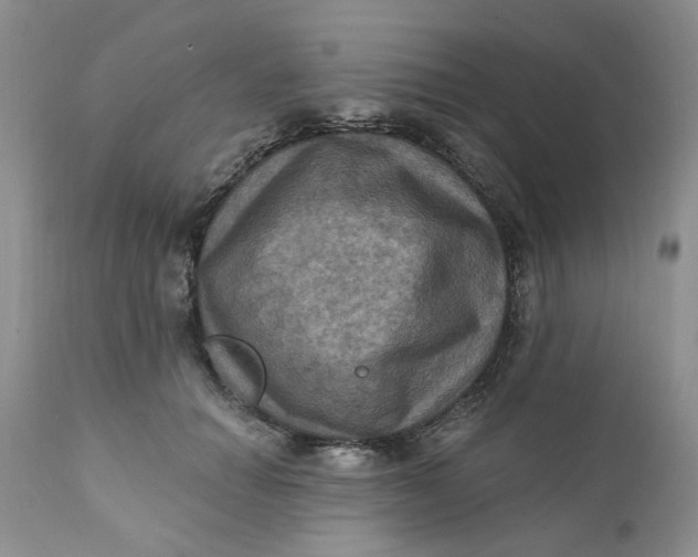 X0000112030654200908241540