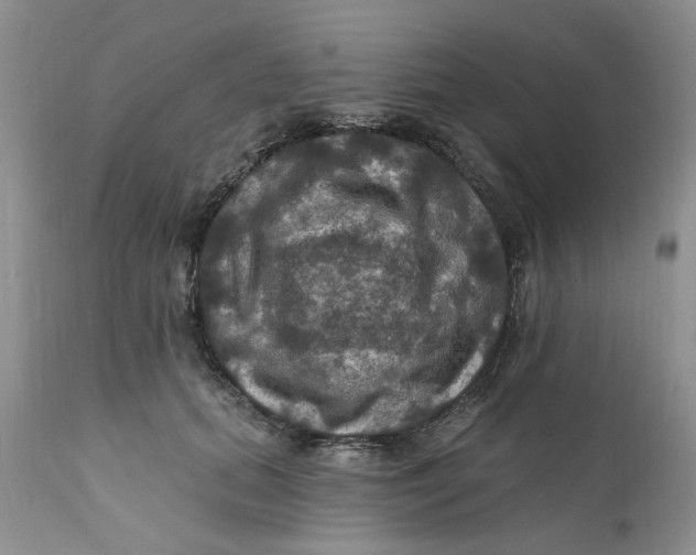 X0000112030655200908241540