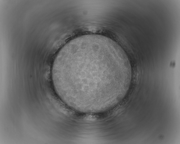 X0000112030656200908241540