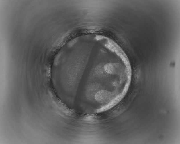X0000112030657200908241540