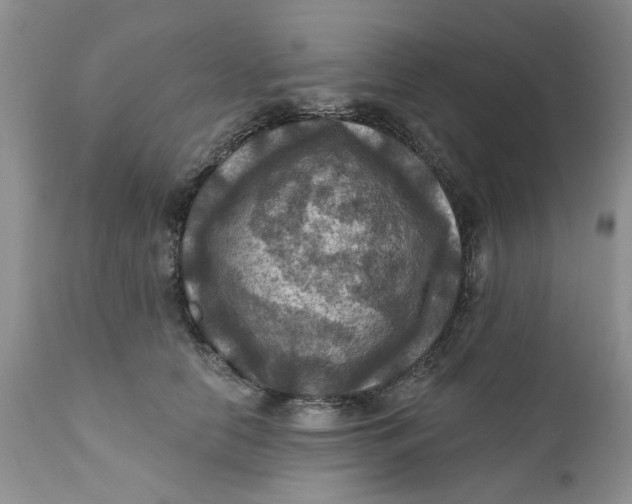 X0000112030658200908241540