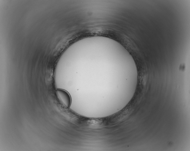 X0000112030660200908241540