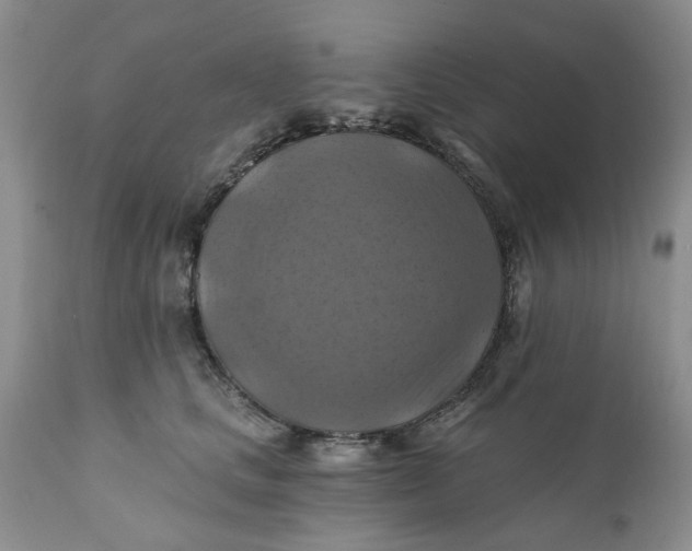 X0000112030661200908241540