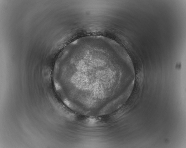 X0000112030662200908241540