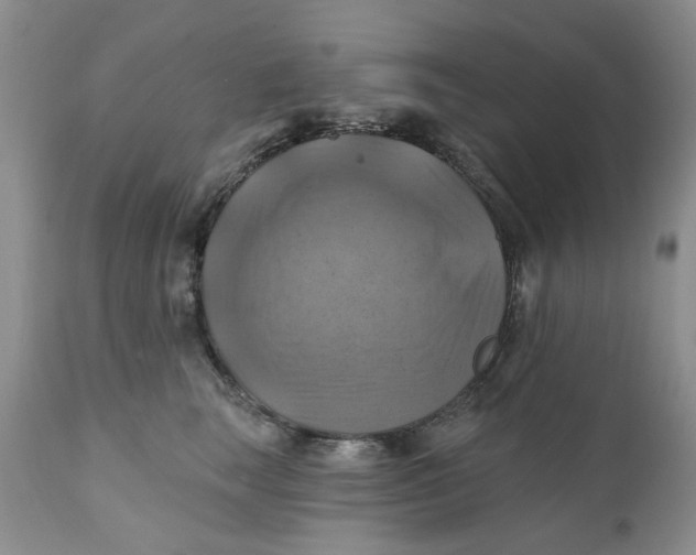 X0000112030663200908241540