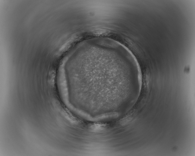 X0000112030664200908241540
