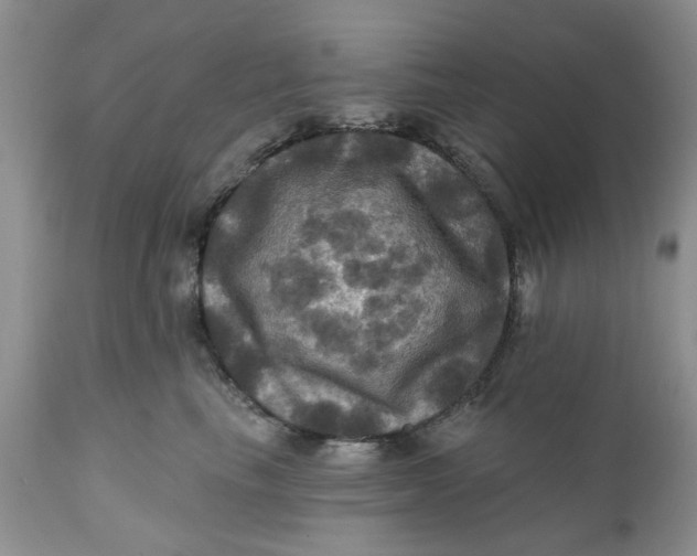 X0000112030665200908241540