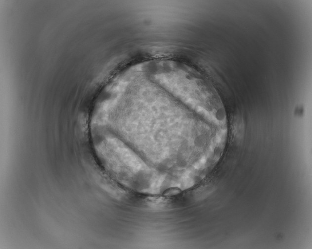 X0000112030667200908241540