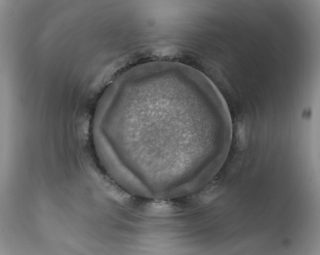 X0000112030668200908241540