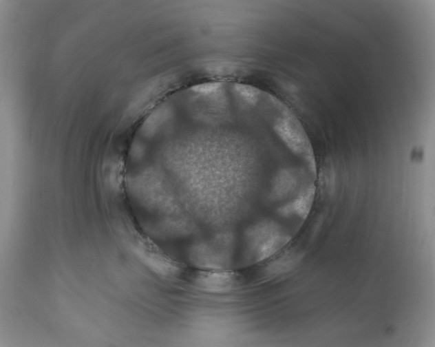 X0000112030671200908241540