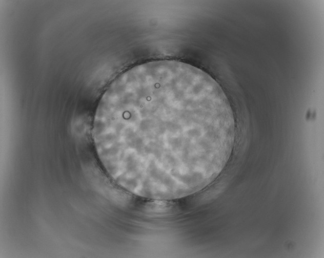 X0000112030672200908241540