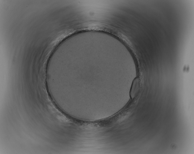 X0000112030673200908241539