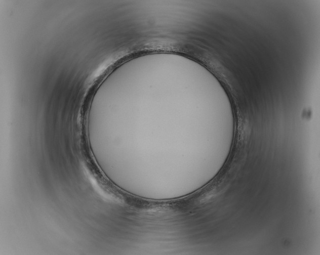 X0000112030674200908241539