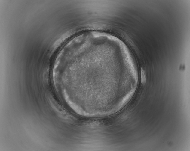 X0000112030675200908241539