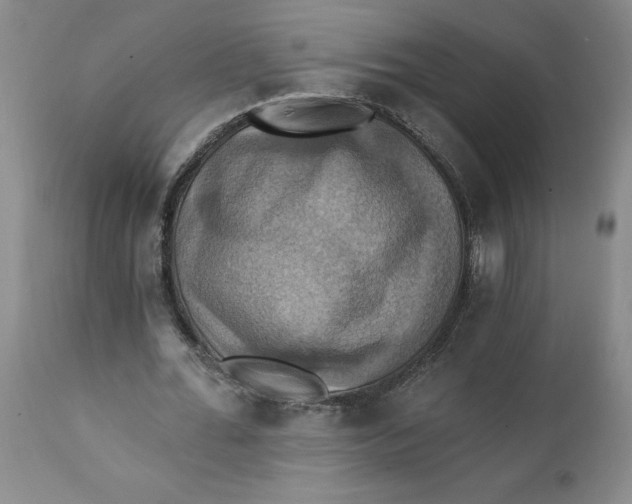 X0000112030676200908241539