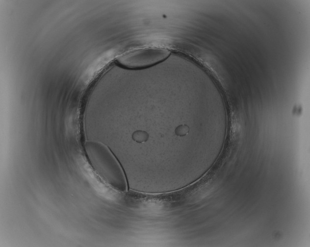 X0000112030677200908241539