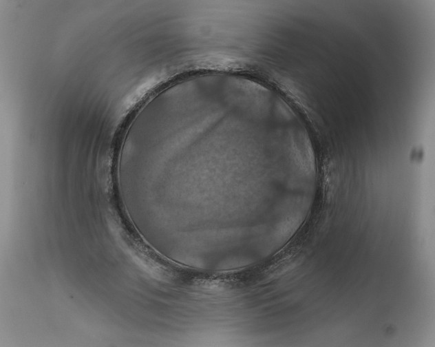 X0000112030679200908241539