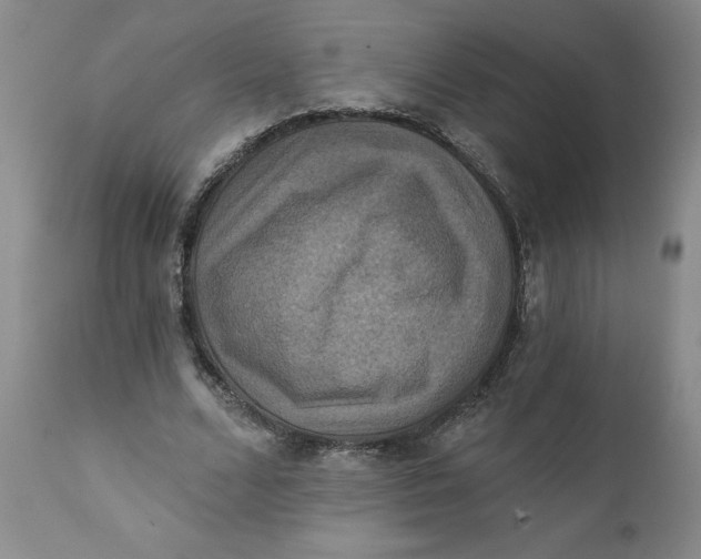 X0000112030680200908241539