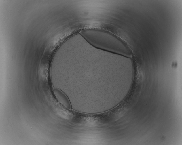 X0000112030681200908241539