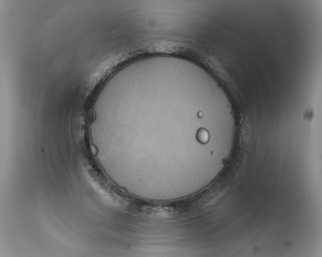 X0000112030683200908241539