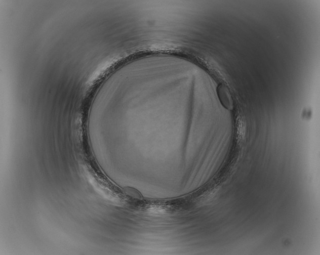 X0000112030684200908241539