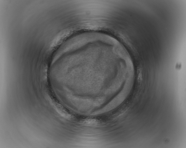 X0000112030685200908241539